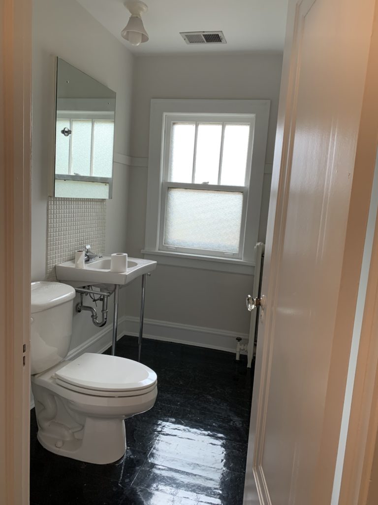 bathroom painted and repaired