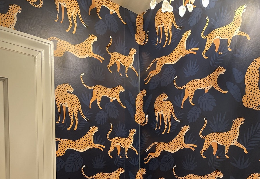cheetah wallpaper design