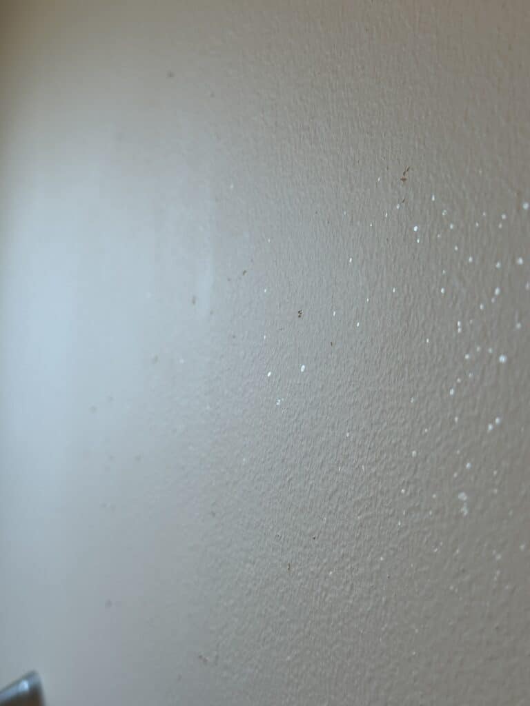 hair spray in bathrom paint